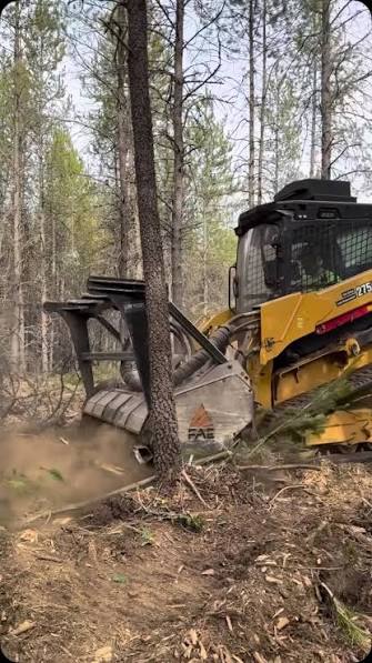 Black Oak forestry mulcher working among trees