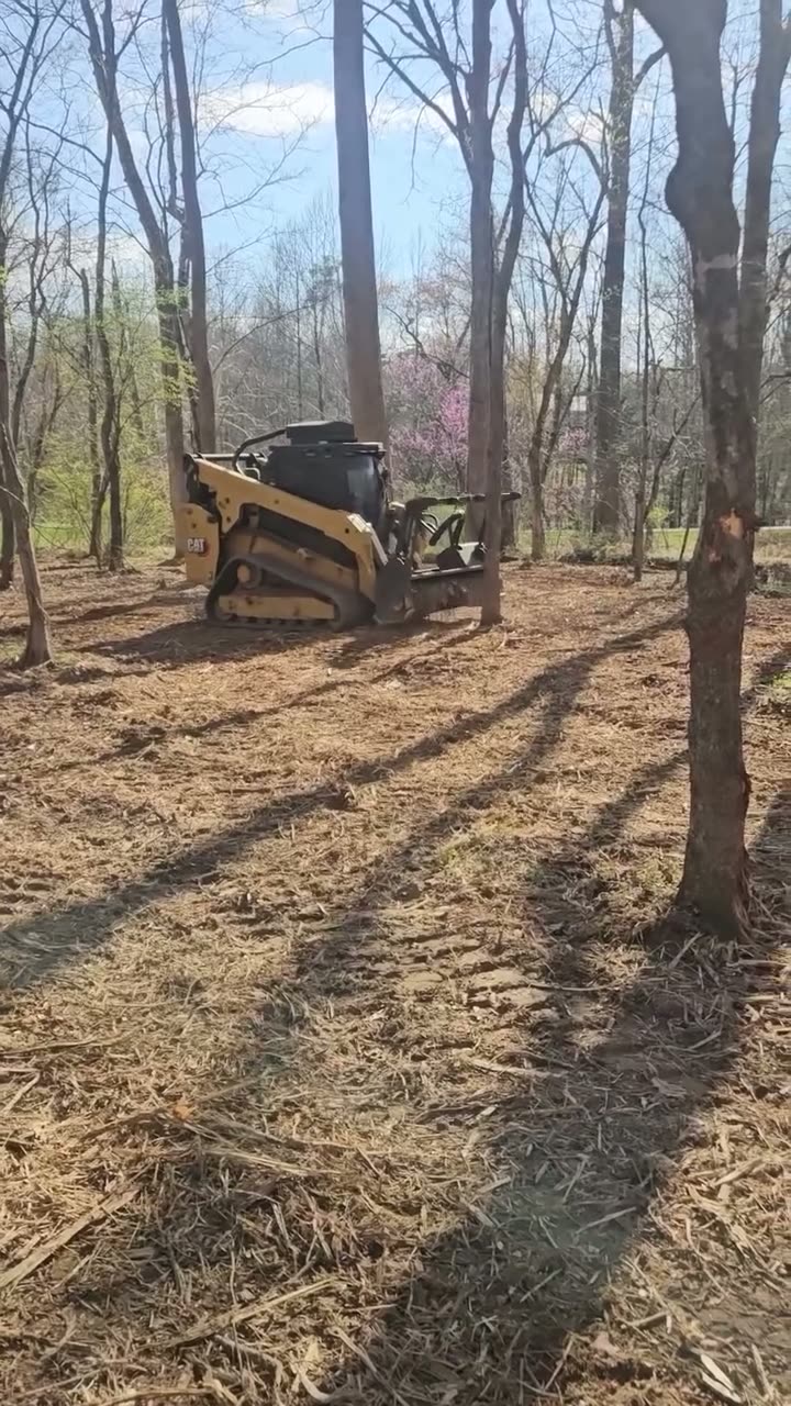 Land Clearing by Black Oak Land Clearing